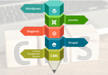 CMS